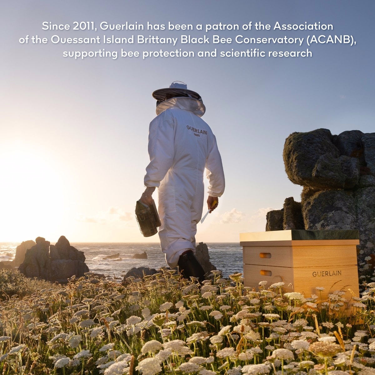 Abeille Royale
Bee Lab Shot™ Abeille Royale
Bee Lab Shot™