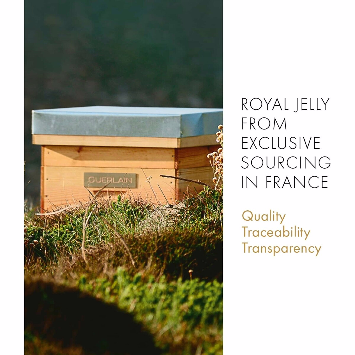 Abeille Royale Fortifying Lotion with Royal Jelly Abeille Royale Fortifying Lotion with Royal Jelly