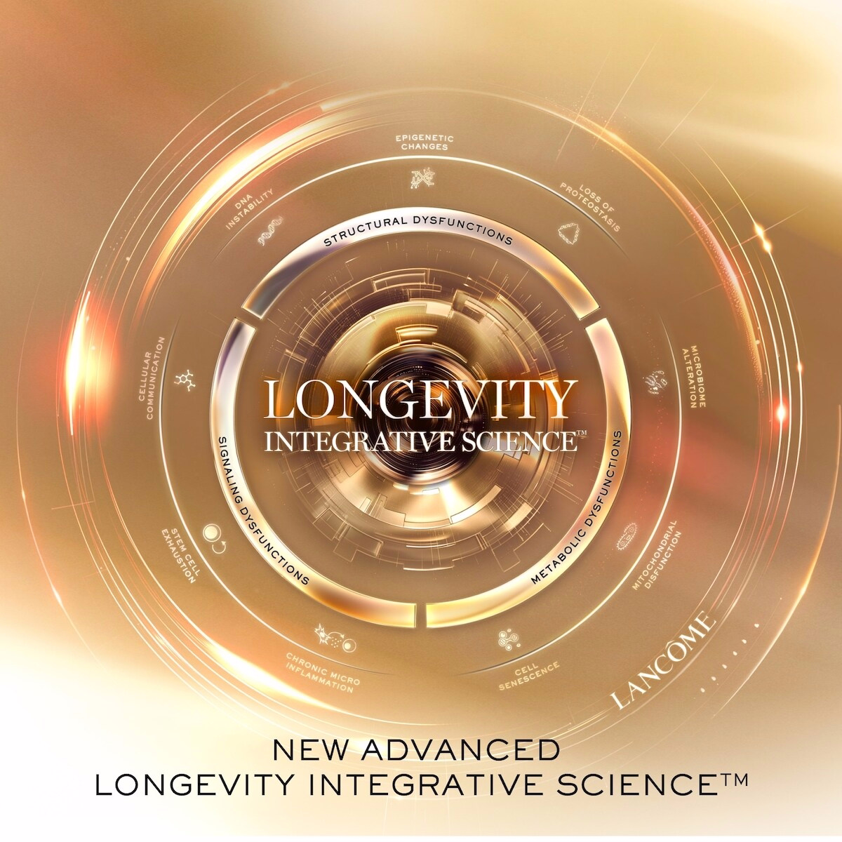 Absolue Longevity 柔滑霜 Absolue Longevity 柔滑霜