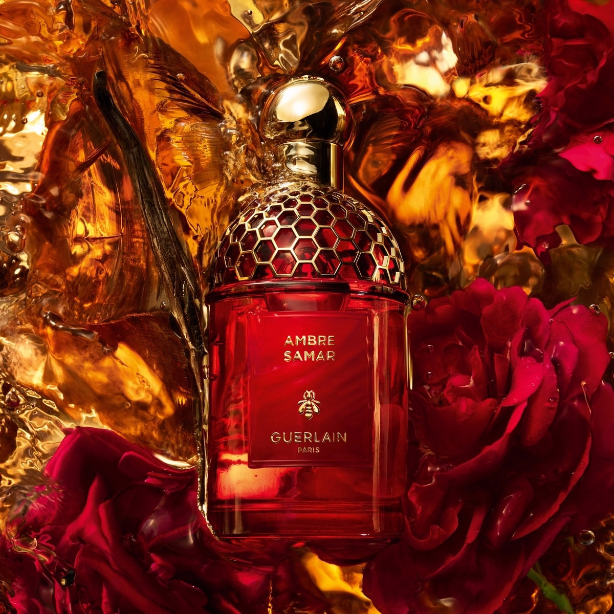 Absolus Allegoria Ambre Samar
Eau de Parfum Absolus Allegoria Ambre Samar
Eau de Parfum