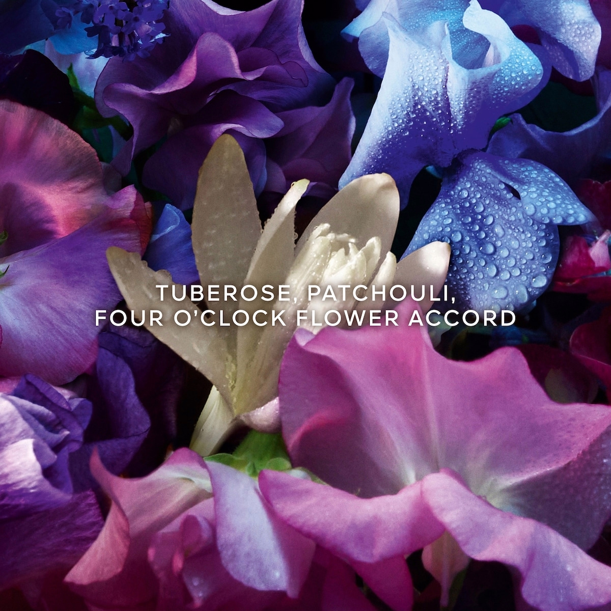 Absolus Allegoria Florabloom
Eau de Parfum Absolus Allegoria Florabloom
Eau de Parfum