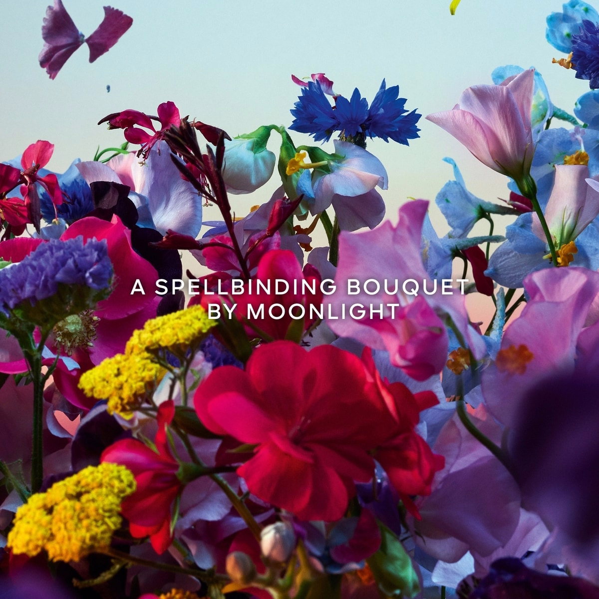 Absolus Allegoria Florabloom
Eau de Parfum Absolus Allegoria Florabloom
Eau de Parfum