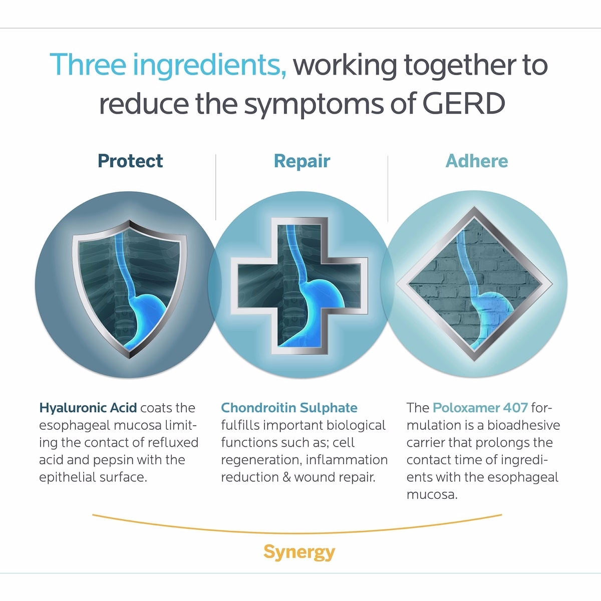 Acid- Reflux Therapy Acid- Reflux Therapy