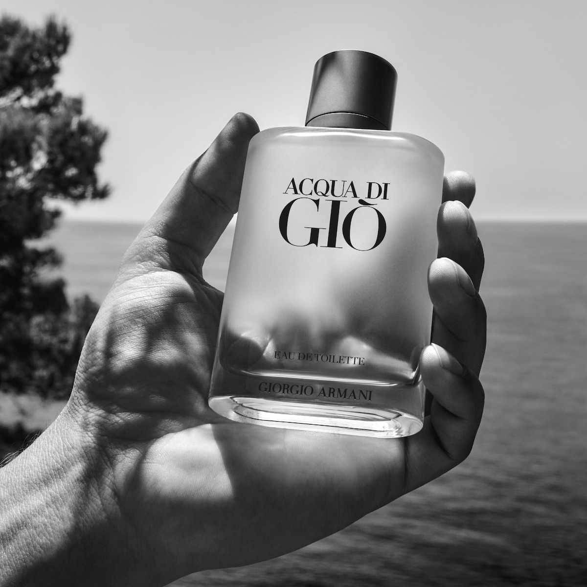 Acqua Di Giò Eau de Toilette Fresh Citrus Floral Fragrance For Men Acqua Di Giò Eau de Toilette Fresh Citrus Floral Fragrance For Men