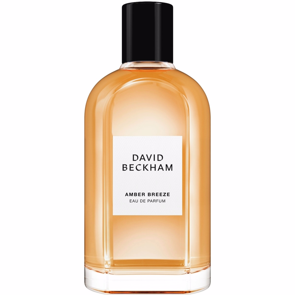 Amber Breeze Eau de Parfum pour Homme, Frais et Aromatique, Parfum longue durée