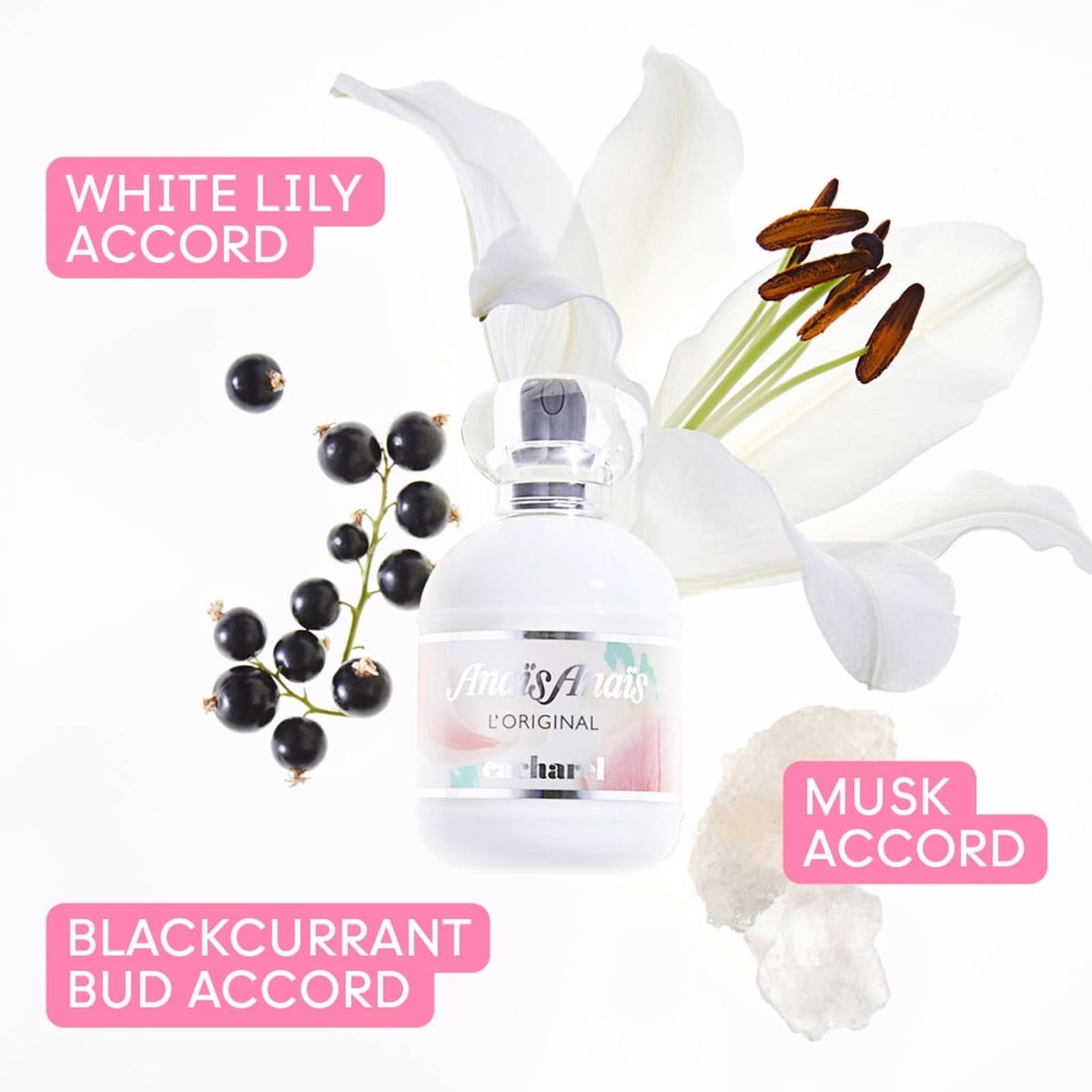 Anais Anais Eau De Toilette Spray