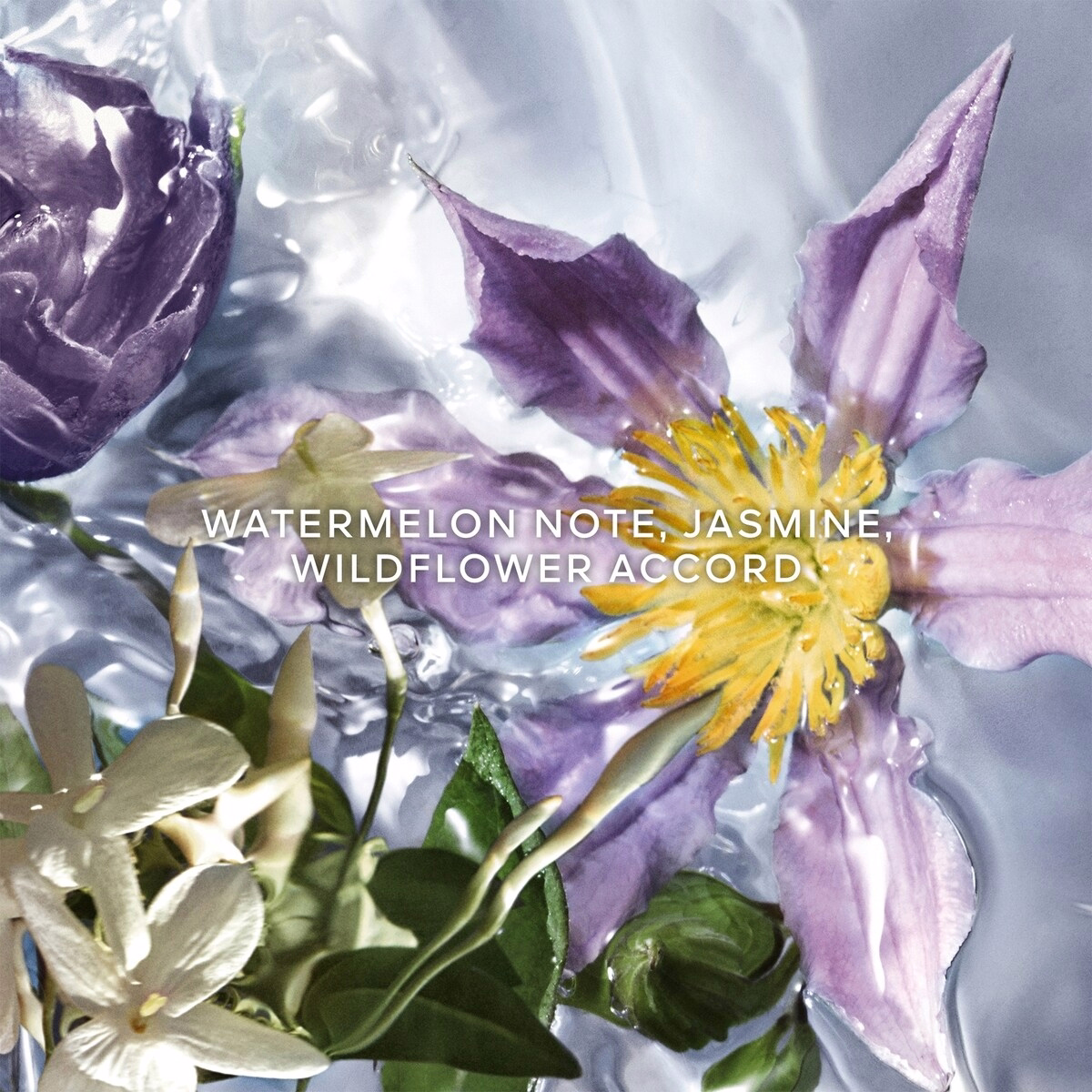 Aqua Allegoria Flora Salvaggia 淡香水補充裝