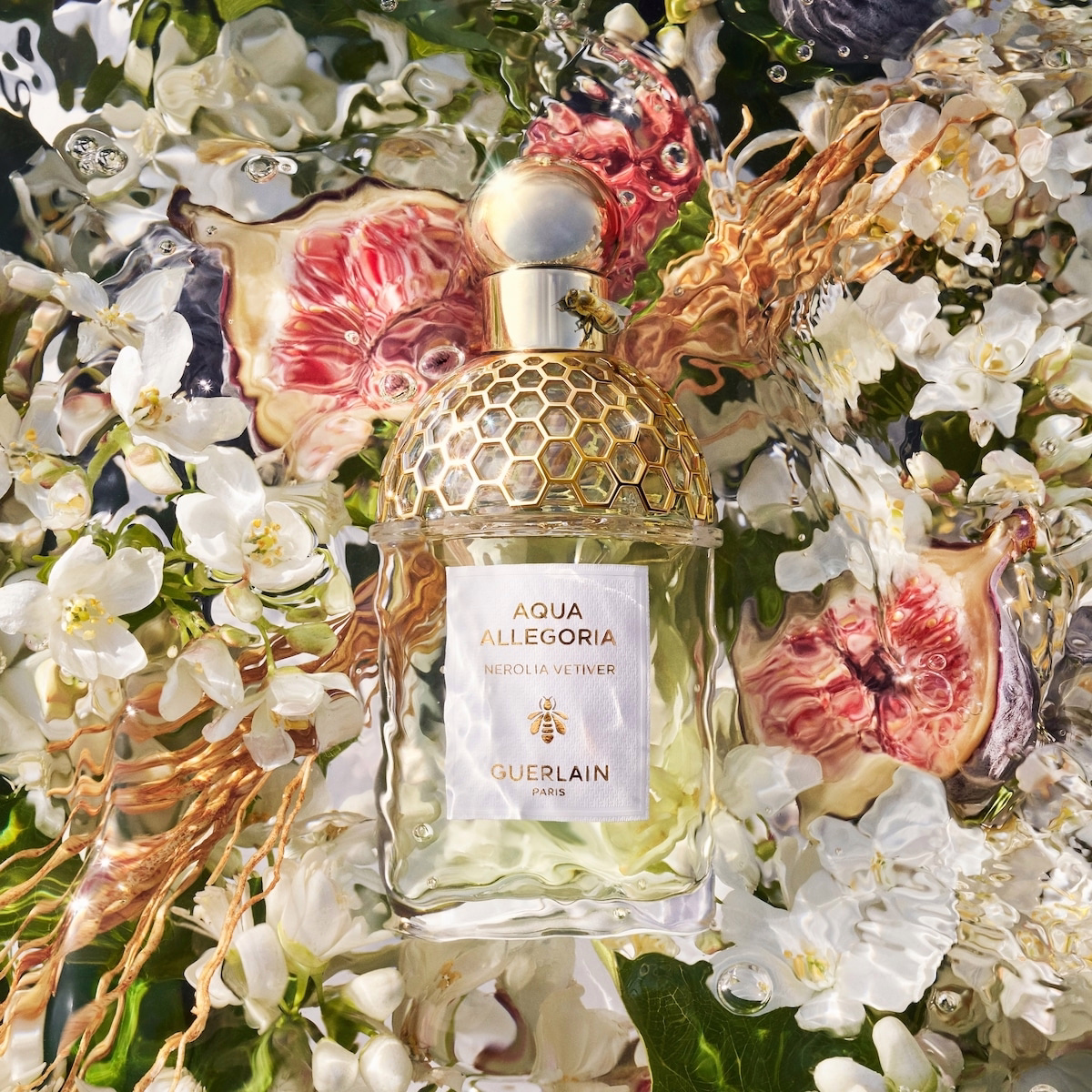 Aqua Allegoria Nerolia Vetiver オードトワレ