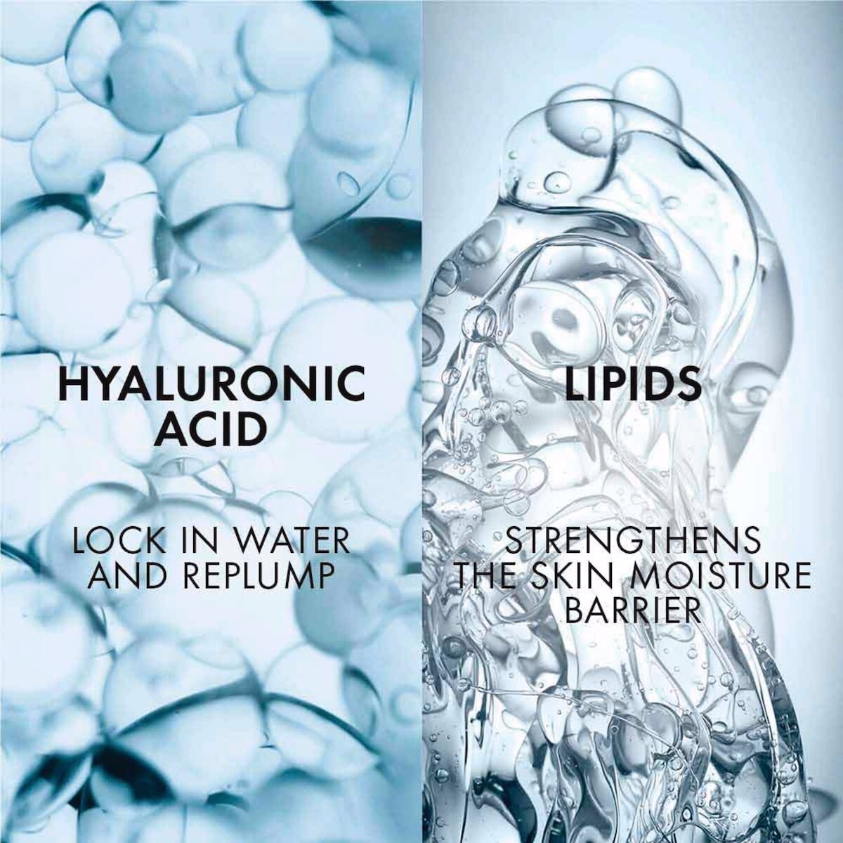 Aqualia Thermal Fragrance-free 48hr Rehydrating Cream Face Moisturizer Aqualia Thermal Fragrance-free 48hr Rehydrating Cream Face Moisturizer