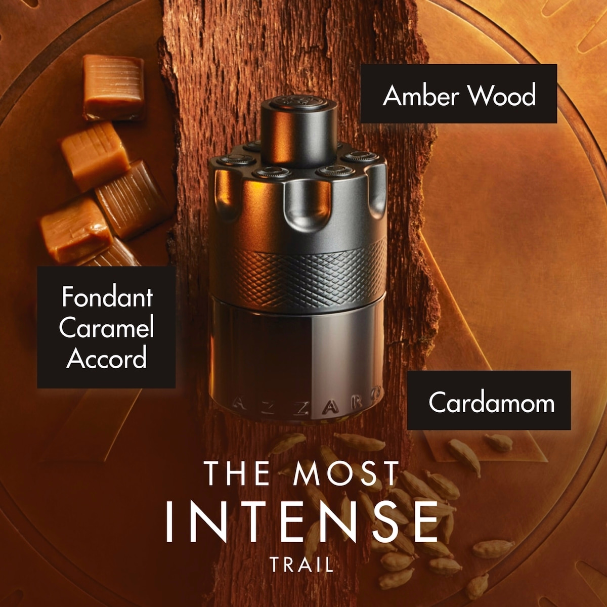 Azzaro The Most Wanted Eau de Parfum Intense Azzaro The Most Wanted Eau de Parfum Intense