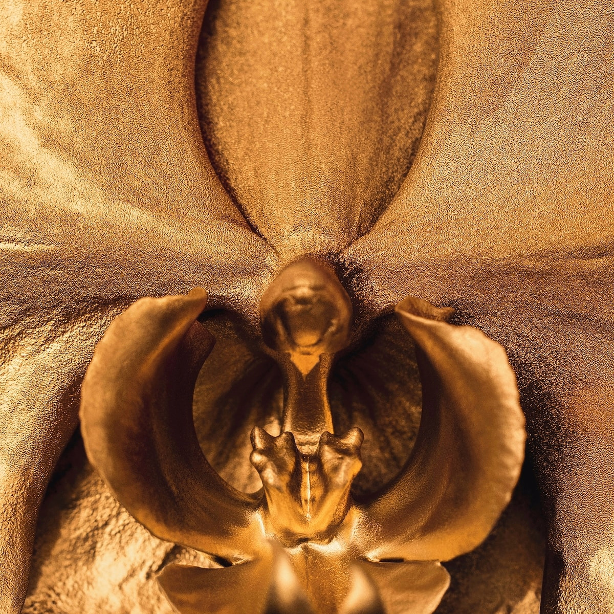 Black Orchid Parfum Black Orchid Parfum