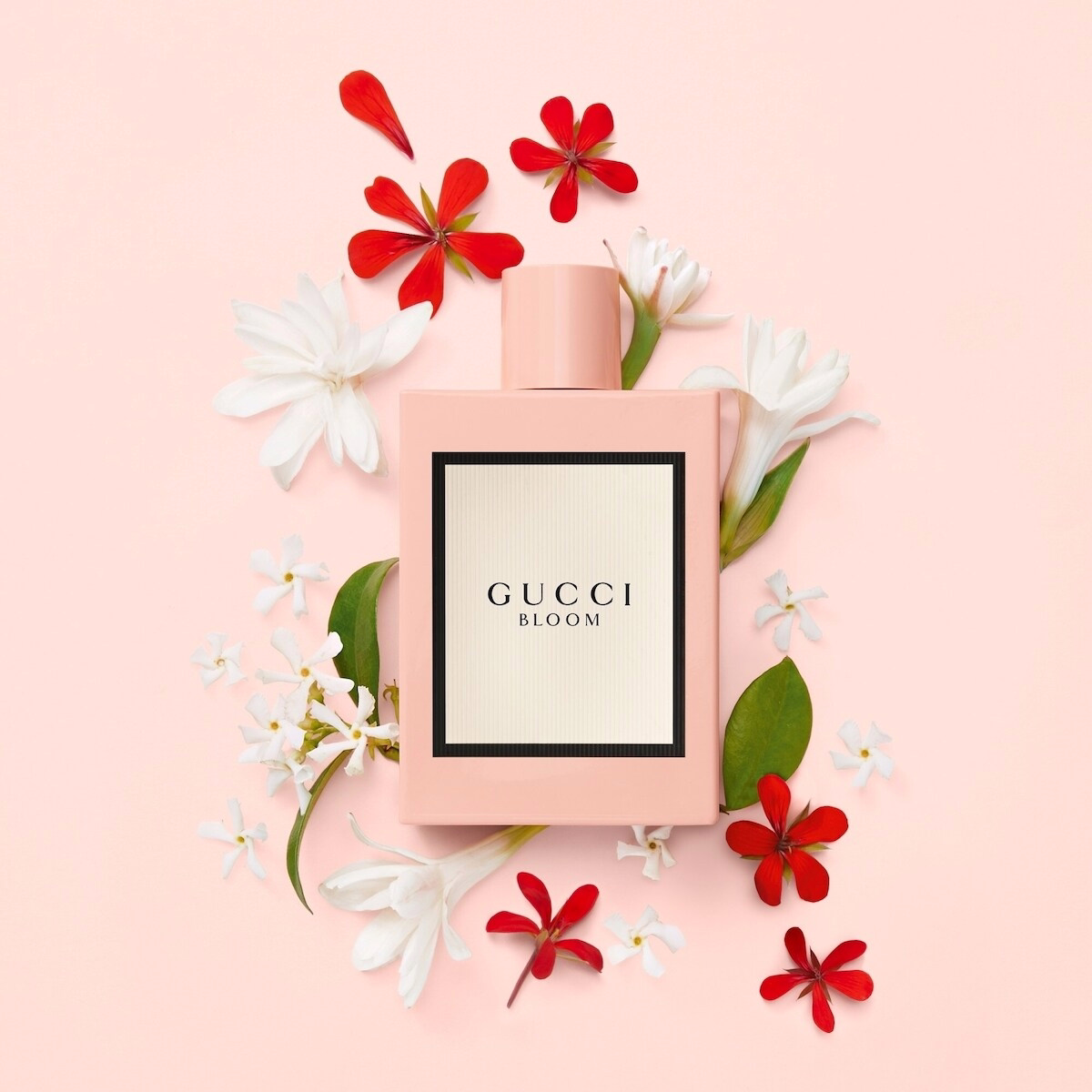 Bloom Eau de Parfum for Women Bloom Eau de Parfum for Women