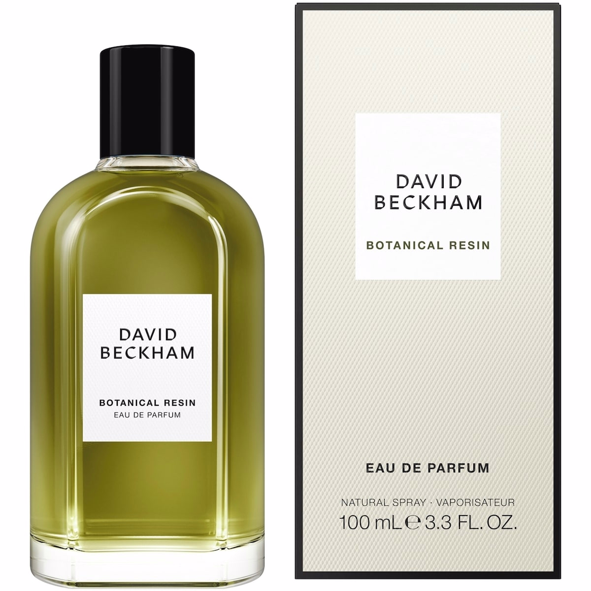 Botanical Resin Eau de Parfum pour Homme, Frais et Aromatique, Longue tenue
