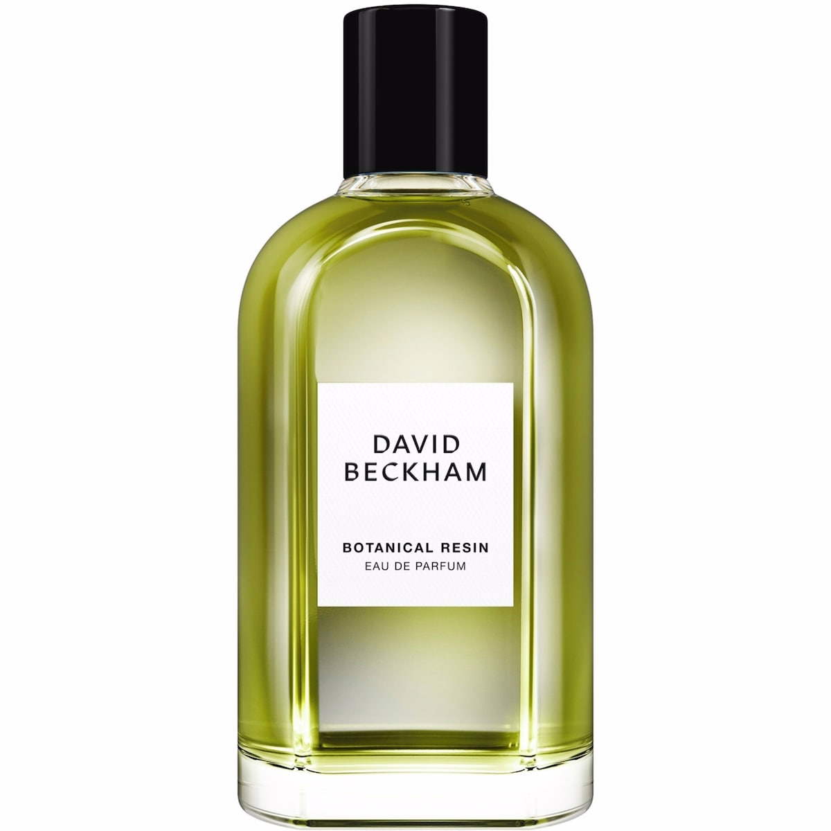 Botanical Resin Eau de Parfum pour Homme, Frais et Aromatique, Longue tenue