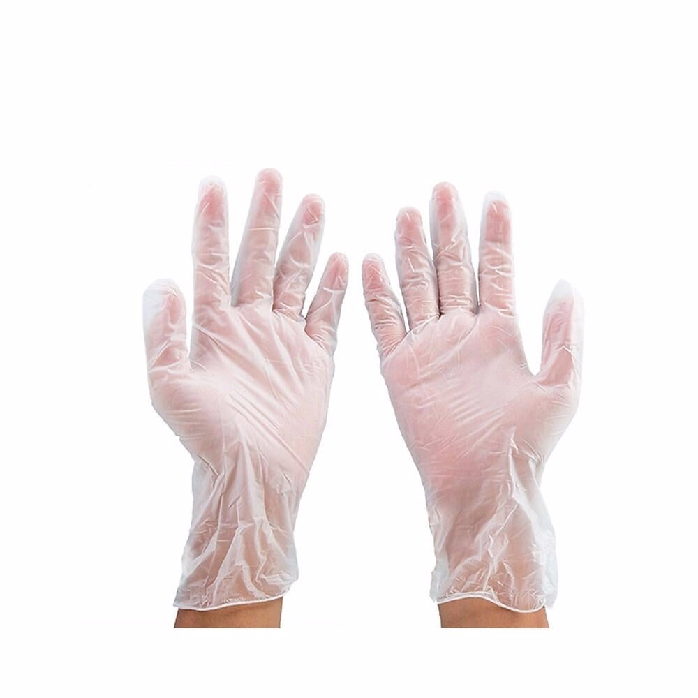 Chartwell Vinyl PF Gloves, Medium, 100 Pack