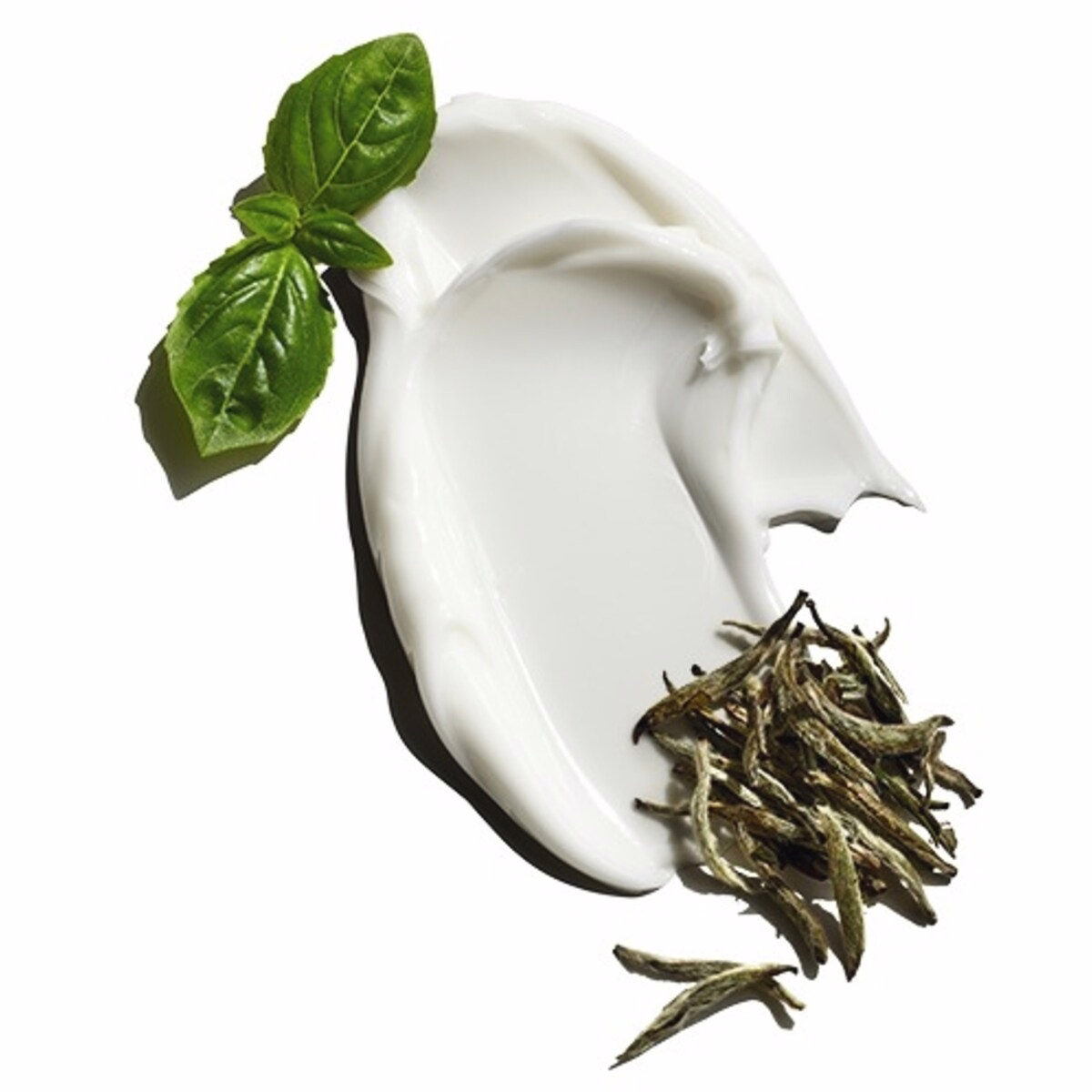 Clean Break Oil-Free Moisturizer