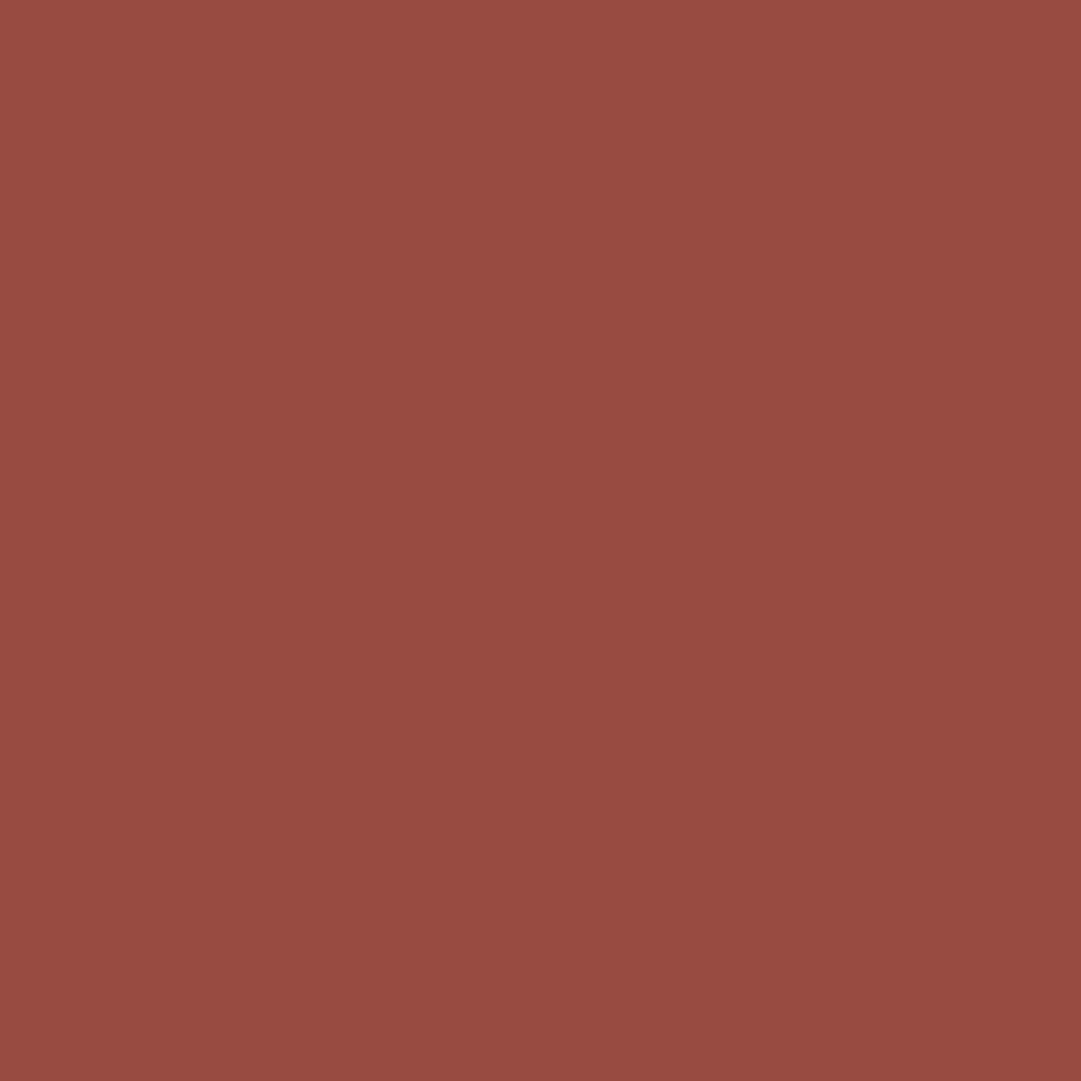 Color Statement Lipliner Color Statement Lipliner