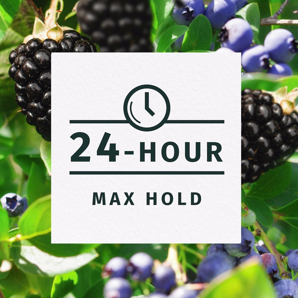 Herbal Essences 捲髮增強慕斯,全天定型、控毛躁 Herbal Essences 捲髮增強慕斯,全天定型、控毛躁