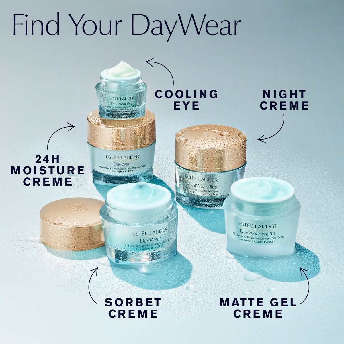 DayWear Moisturizer Multi-Protection Anti-Oxidant 24H‑Moisture Creme SPF 15 DayWear Moisturizer Multi-Protection Anti-Oxidant 24H‑Moisture Creme SPF 15