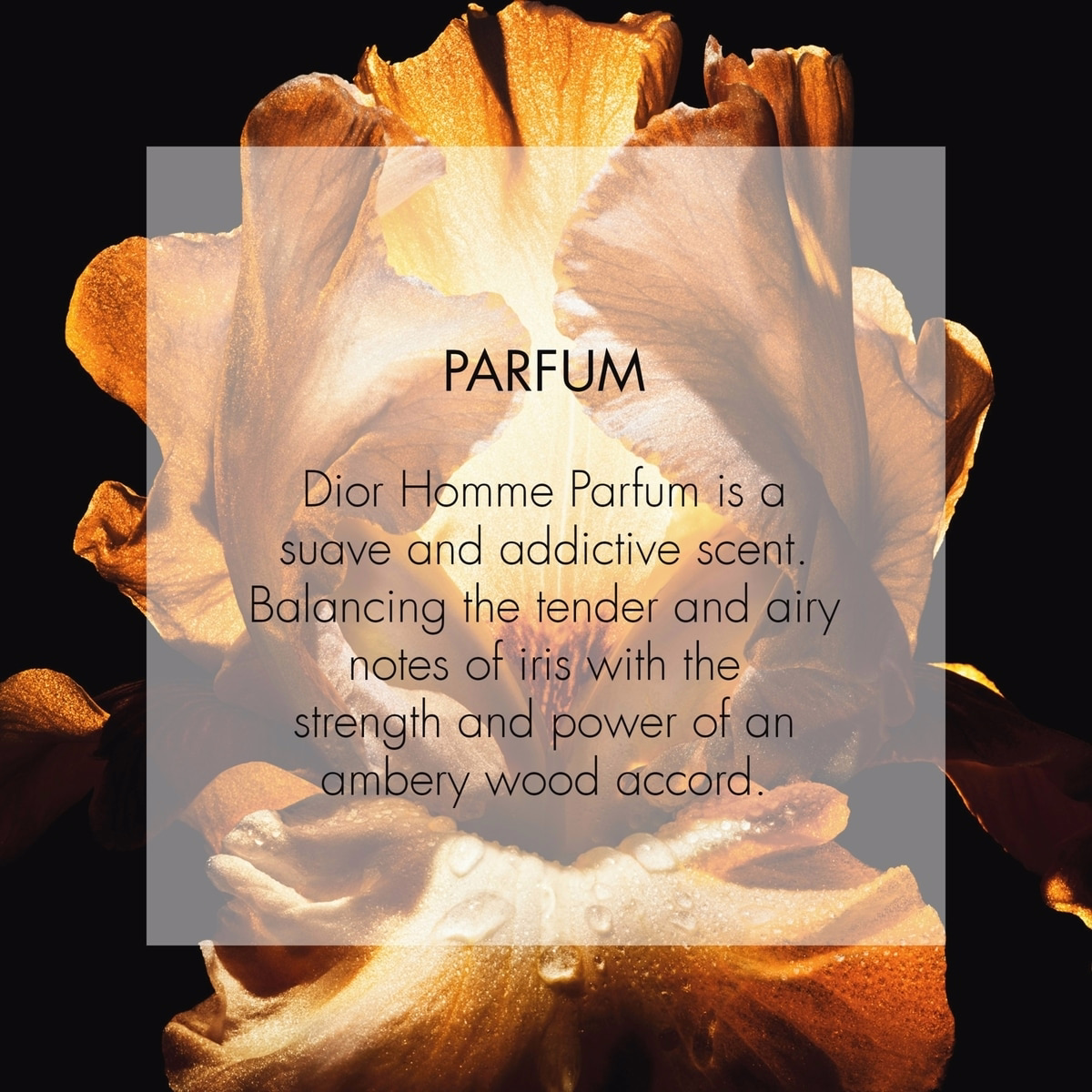 Dior Homme Parfum