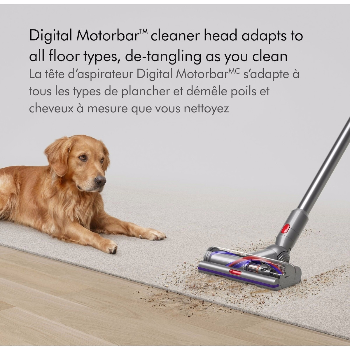 Dyson V15 Detect Cordless Vacuum Dyson V15 Detect Cordless Vacuum