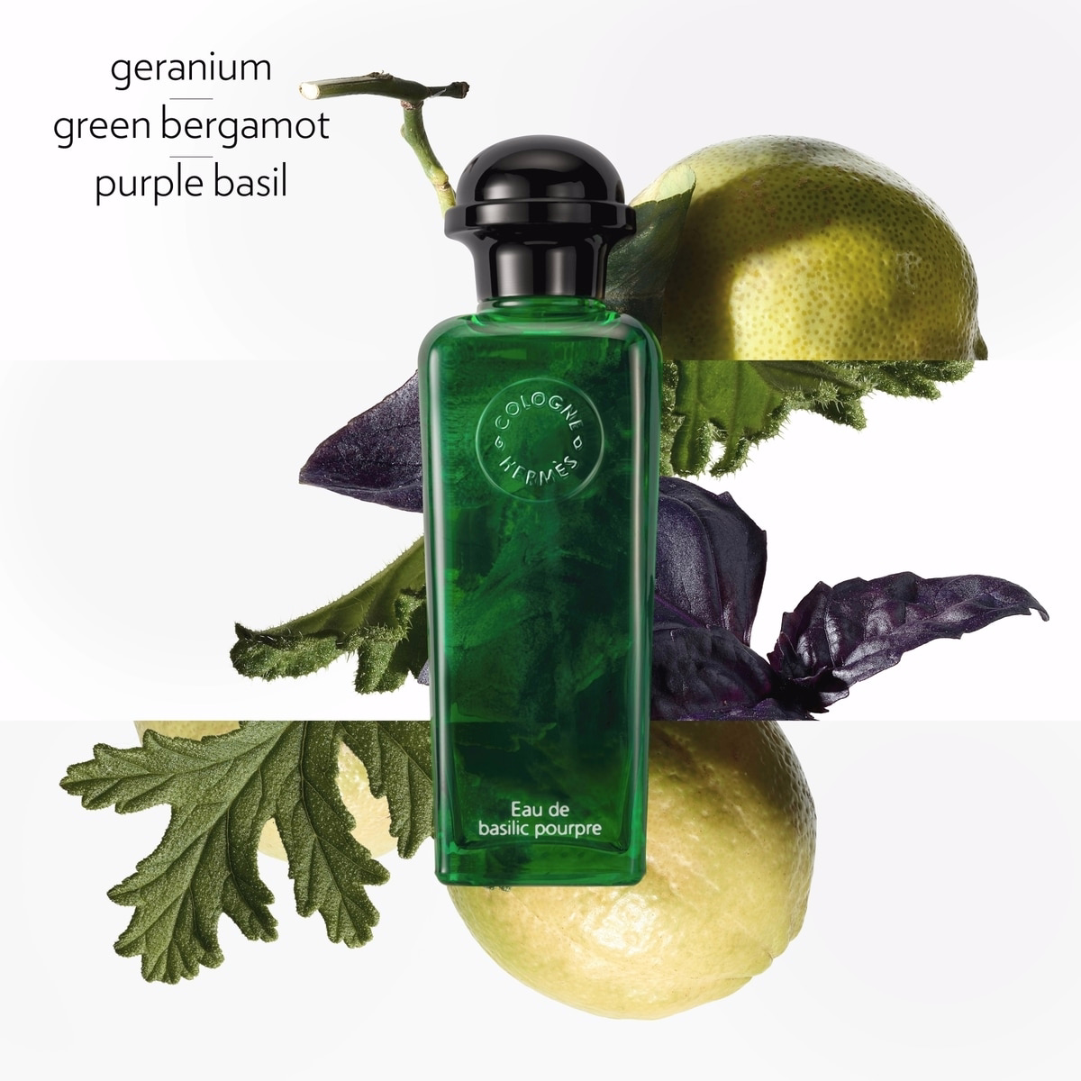 Eau de Basilic Pourpre, Eau de Cologne Eau de Basilic Pourpre, Eau de Cologne