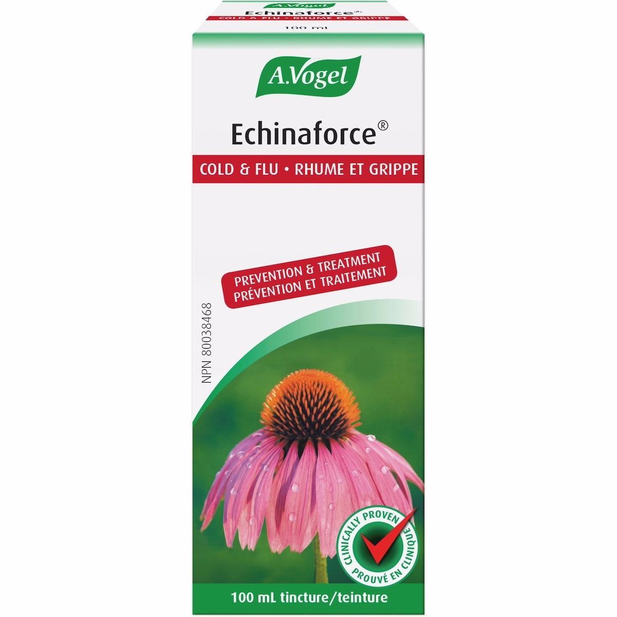 Echinaforce Immune Support for Cold and Flu