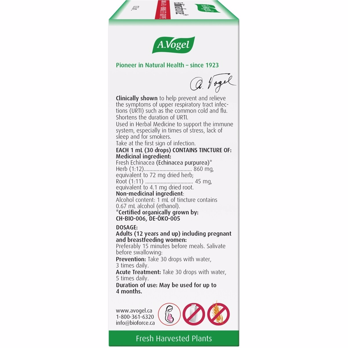 Echinaforce Immune Support for Cold and Flu