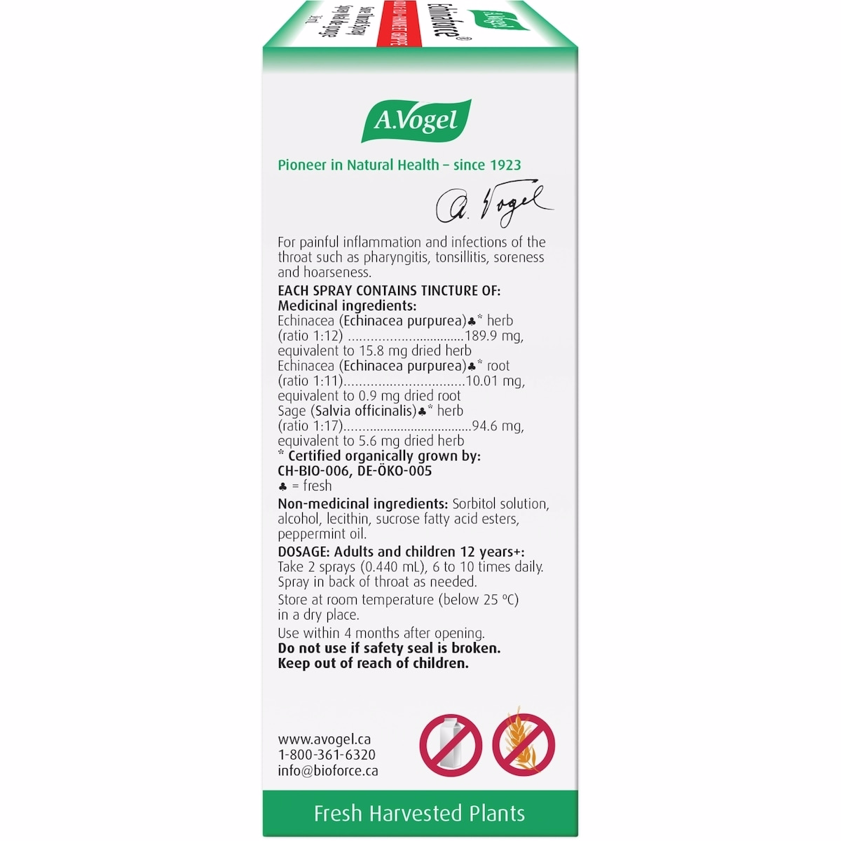 Echinaforce Sore Throat Spray Fast Acting Remedy
