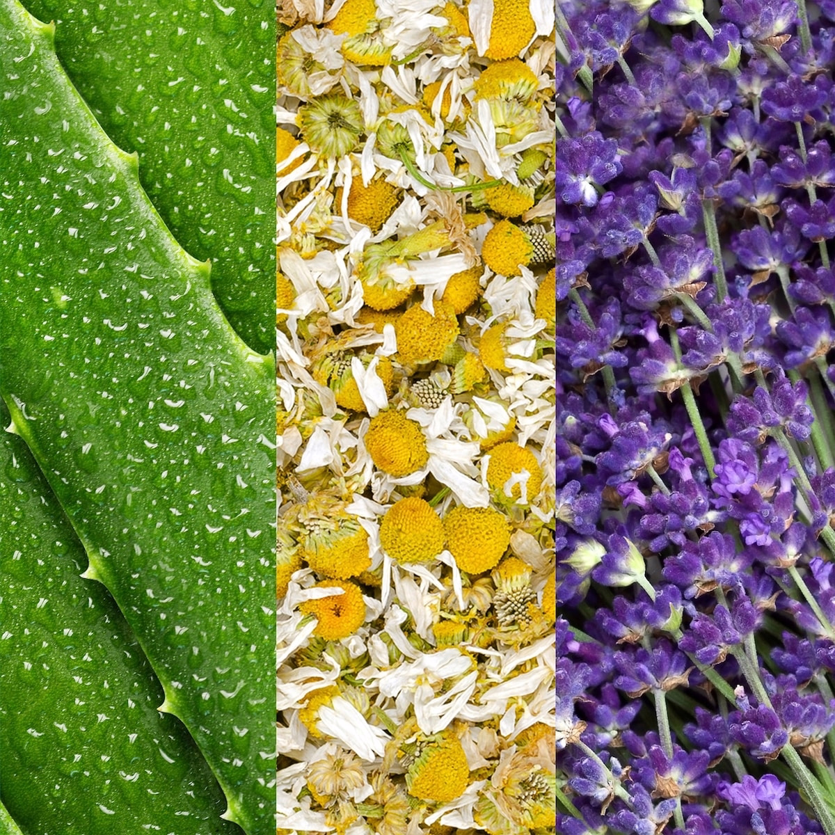Facial Spray with Aloe, Chamomile & Lavender 236ml