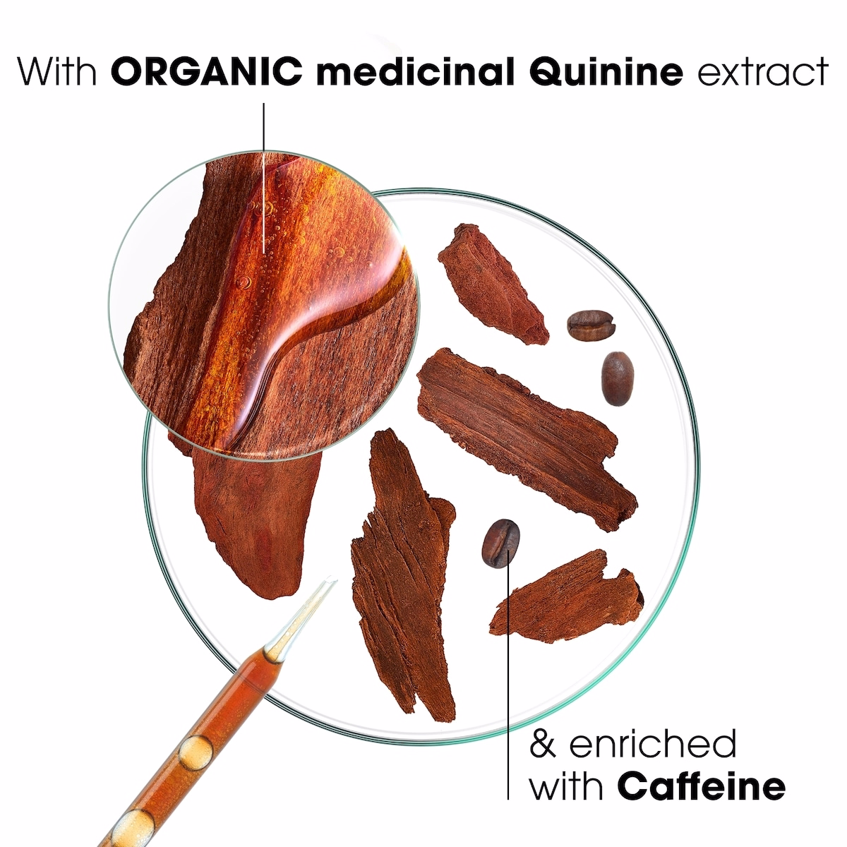 Shampooing Fortifiant à la Quinine Shampooing Fortifiant à la Quinine