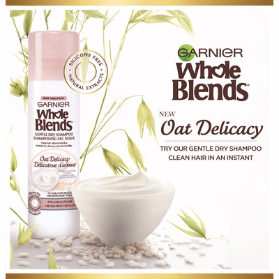 Garnier Whole Blends Oat Delicacy Gentle Conditioner 12.5 Fl. Oz. Garnier Whole Blends Oat Delicacy Gentle Conditioner 12.5 Fl. Oz.