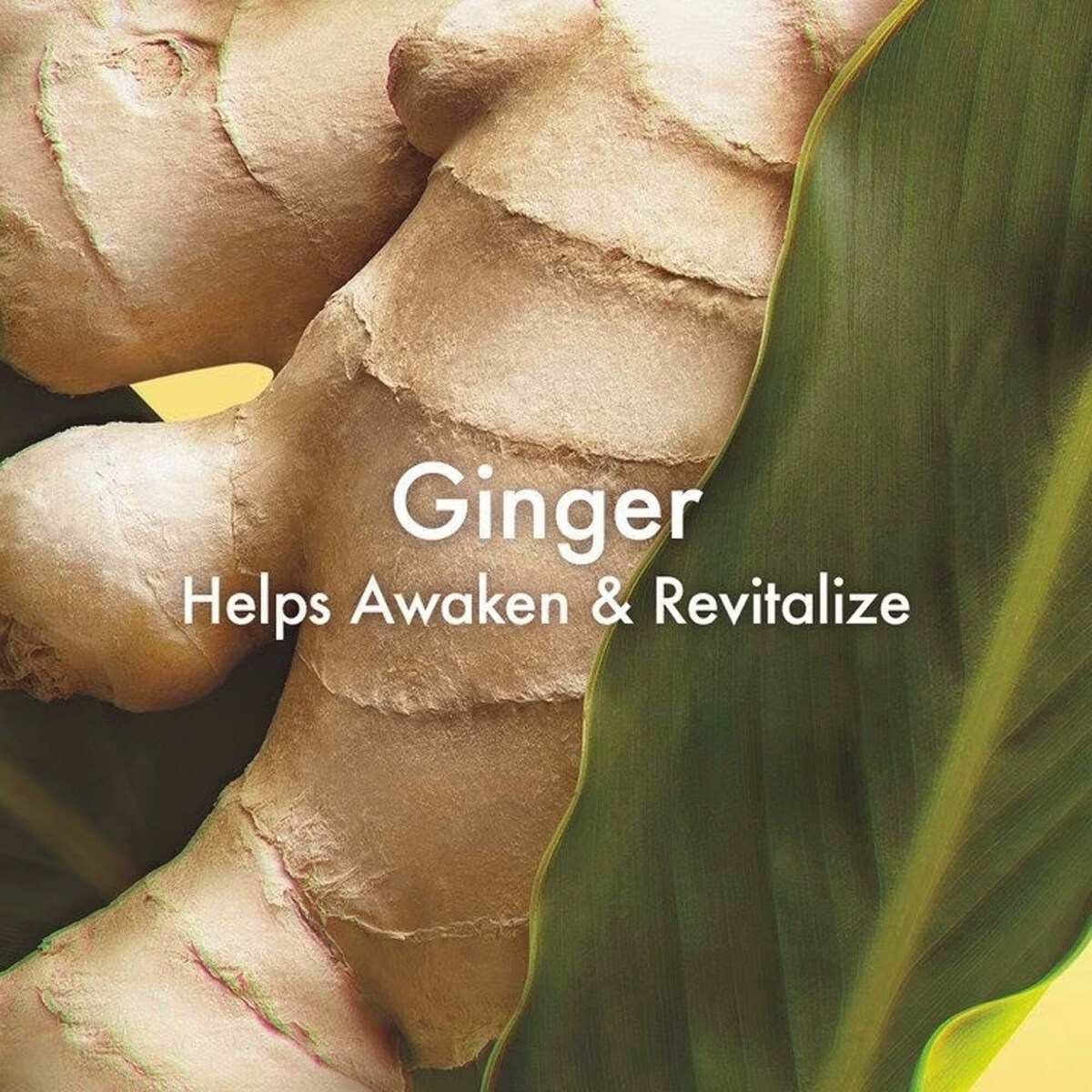 Ginger Body Scrub™ Smoothing Body Buffer Ginger Body Scrub™ Smoothing Body Buffer