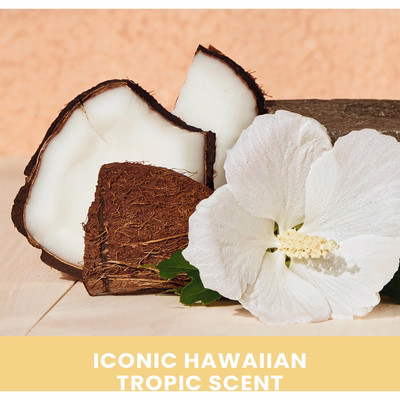 Hawaiian Tropic Silk Hydration Weightless Coconut Papaya After Sun Moisturizer