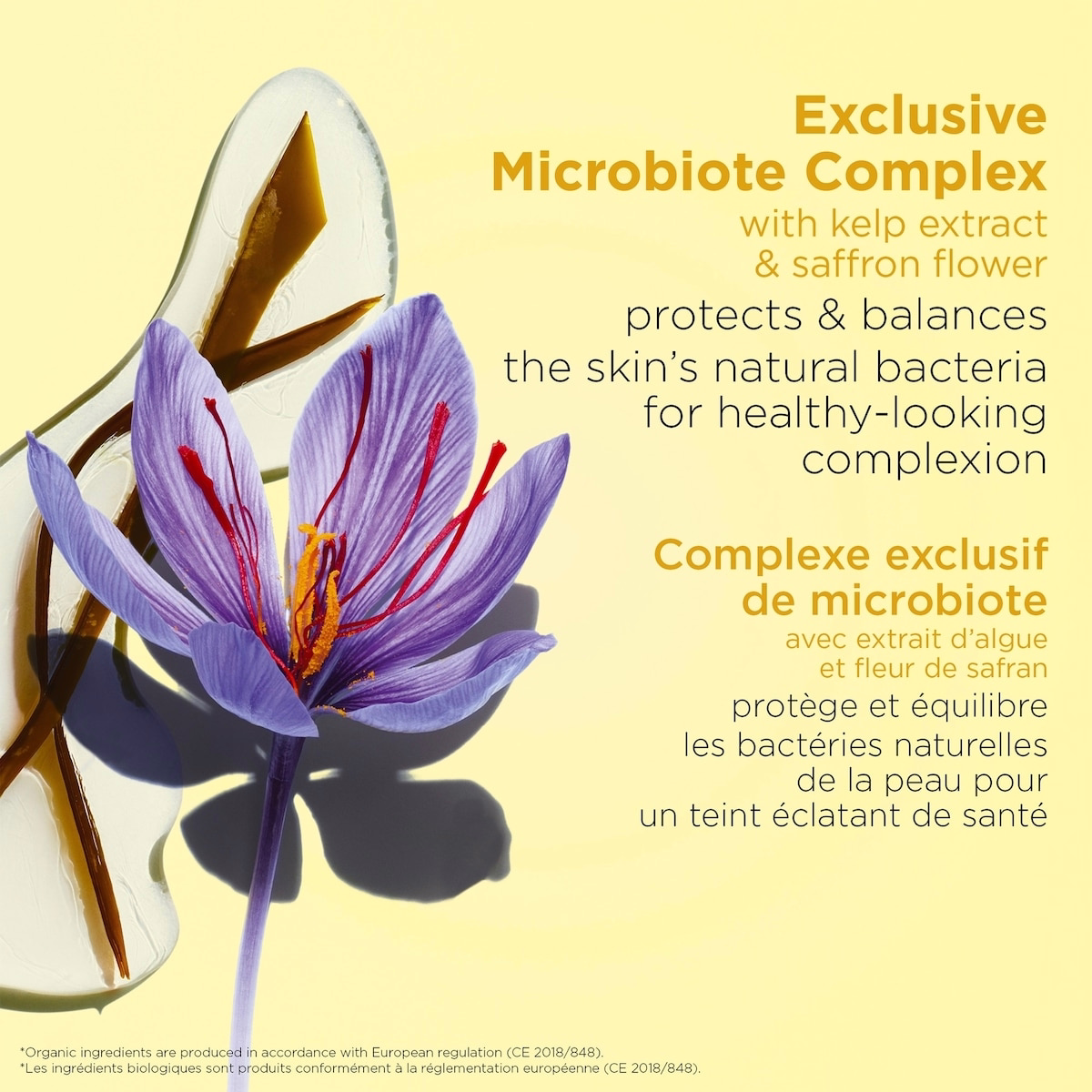 Hydrating Toning Lotion Hydrating Toning Lotion