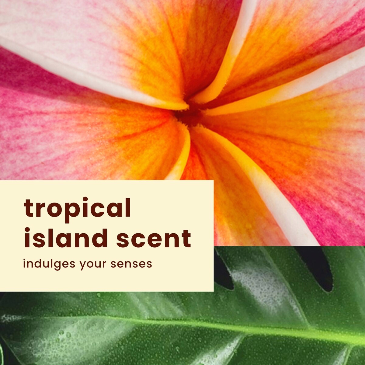 ISLAND SPORT® 耐汗性日焼け止めスプレー SPF50 ISLAND SPORT® 耐汗性日焼け止めスプレー SPF50