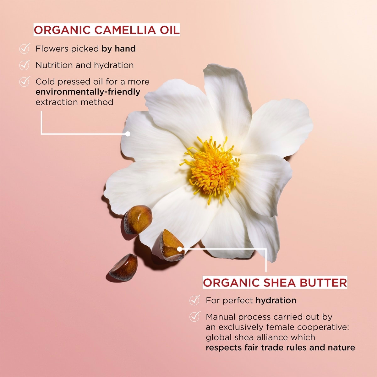 Joli Rouge 補充裝 Joli Rouge 補充裝