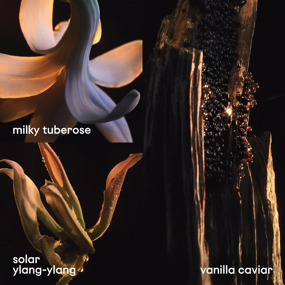 Lady Million Fabulous Eau de Parfum Intense Lady Million Fabulous Eau de Parfum Intense