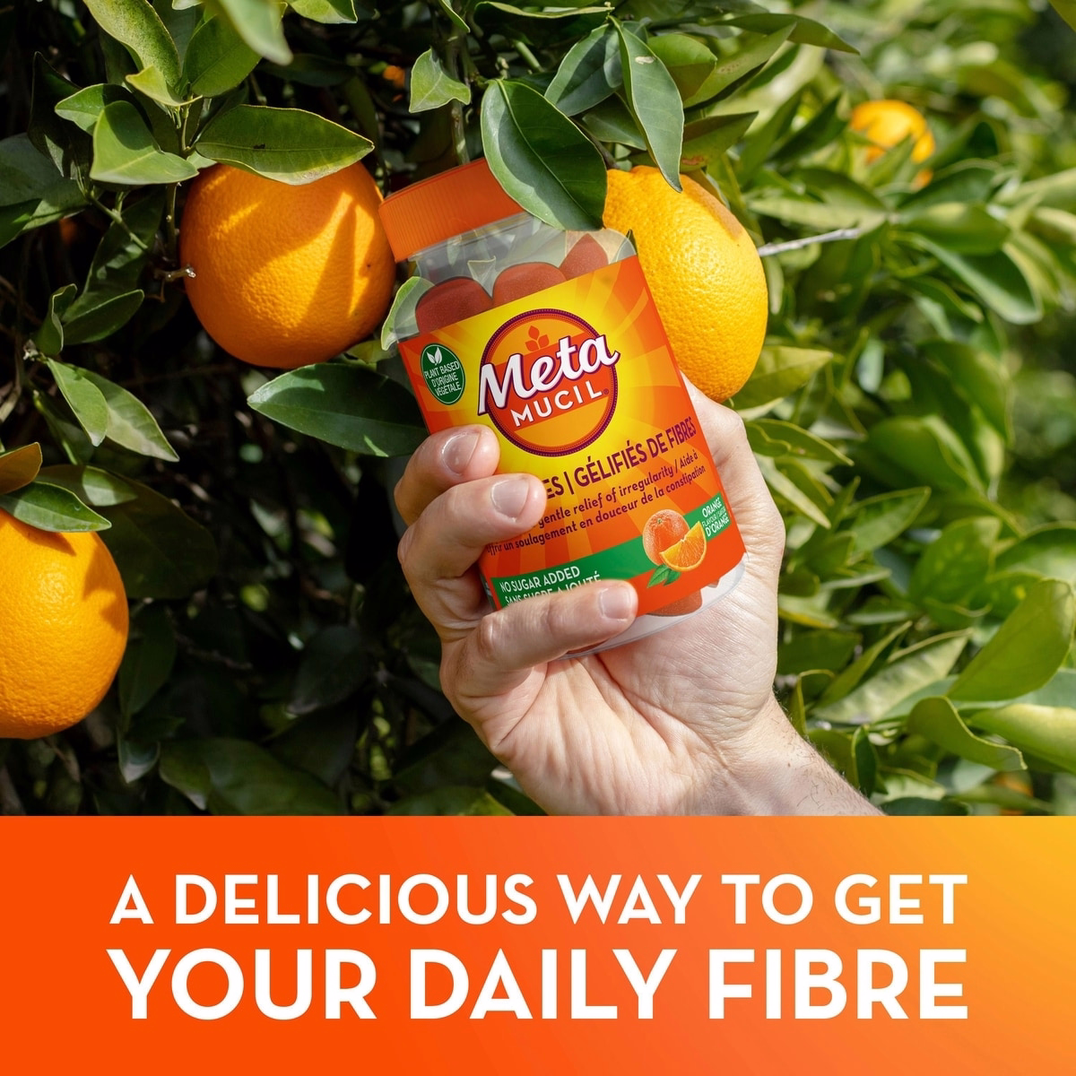 Metamucil 메타 파이버 구미 72정