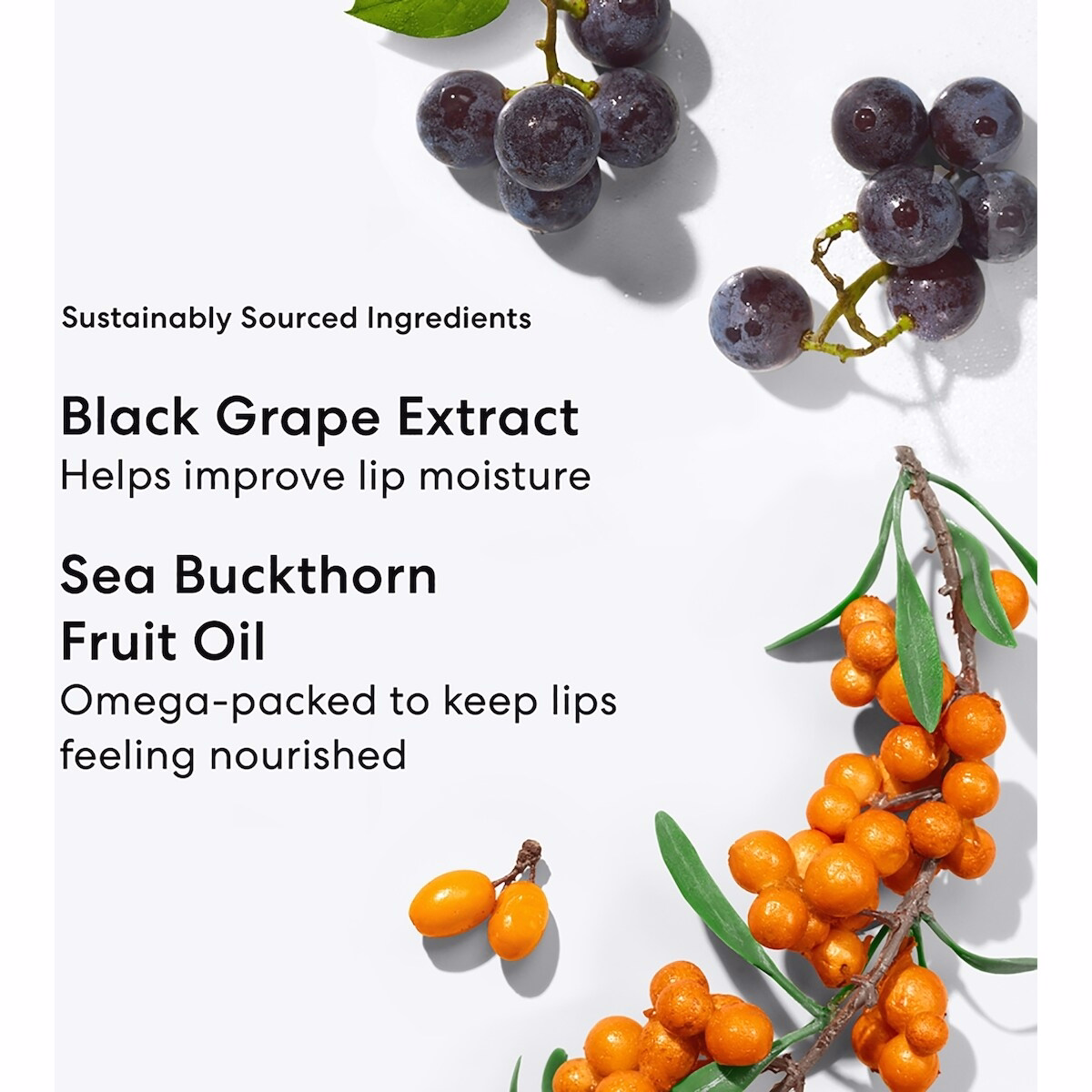 Mineralist Lasting Lip Liner Mineralist Lasting Lip Liner