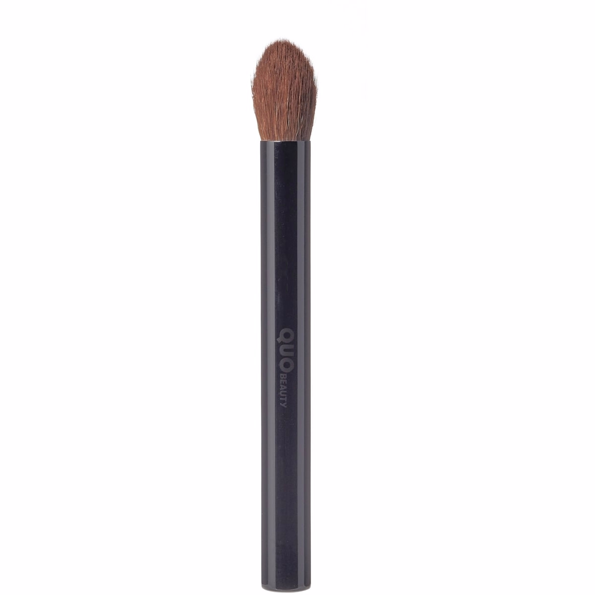 Mini Pro Series  Universal Eye & Face Brush