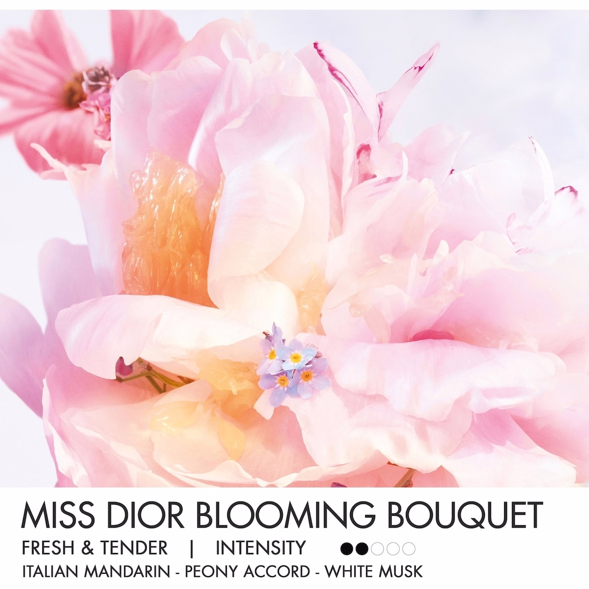 Parfum Solide Miss Dior Mini Miss Blooming Bouquet