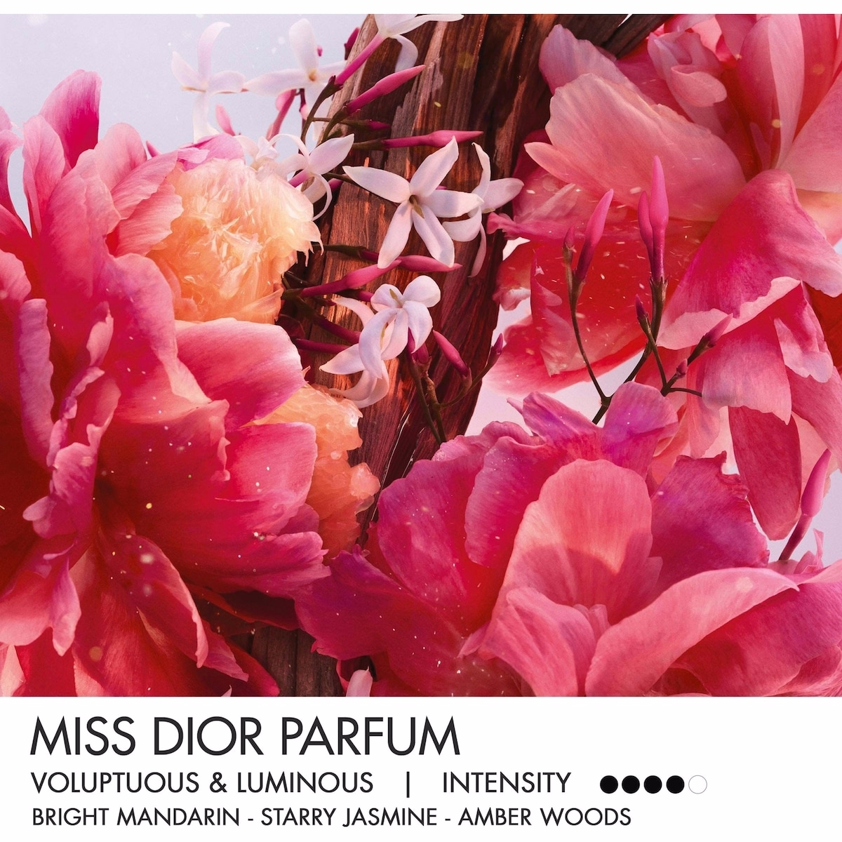 Miss Dior Mini Miss Parfum Solid Perfume