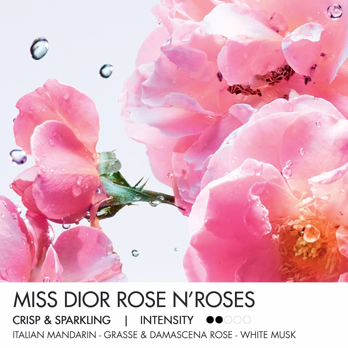 Miss Dior Rose N' Roses
Eau de Toilette