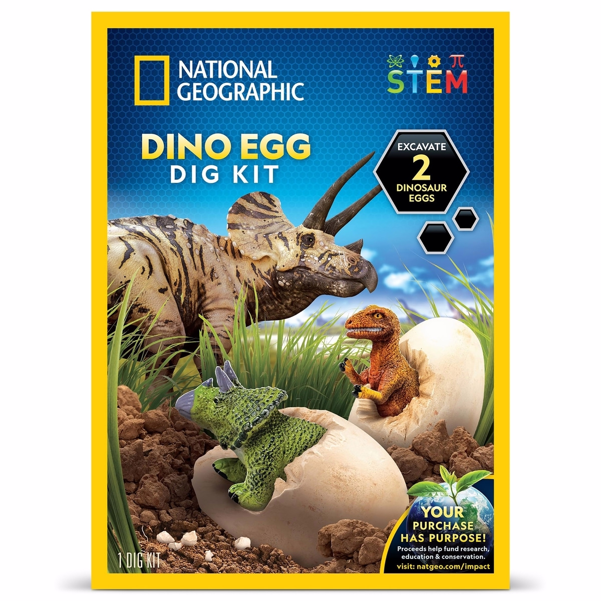 National Geographic Standard Dinosaur Egg Dig Kit