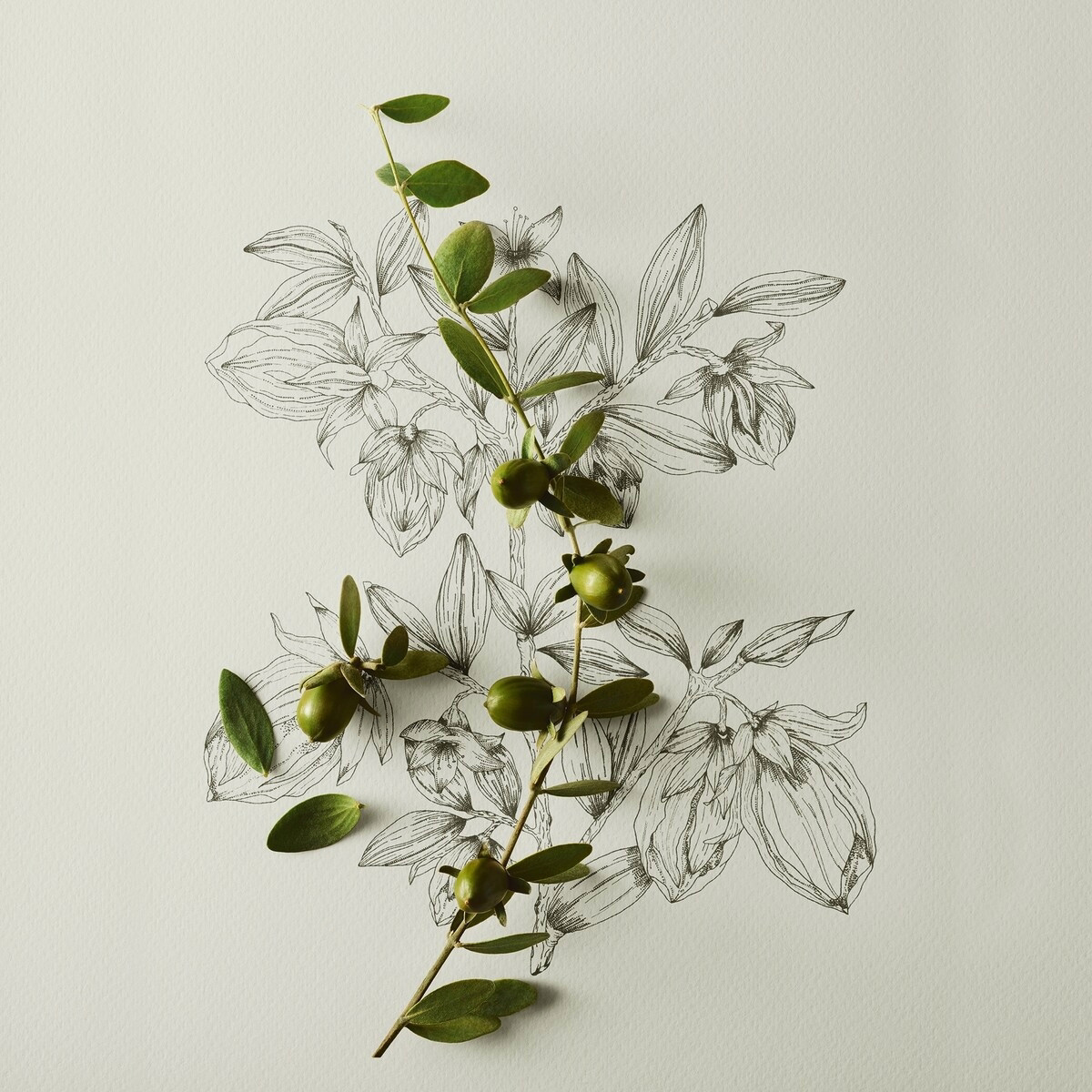 조조바가 들어간 Philosophy Nature in a Jar 부드럽고 온열 작용의 각질 제거제