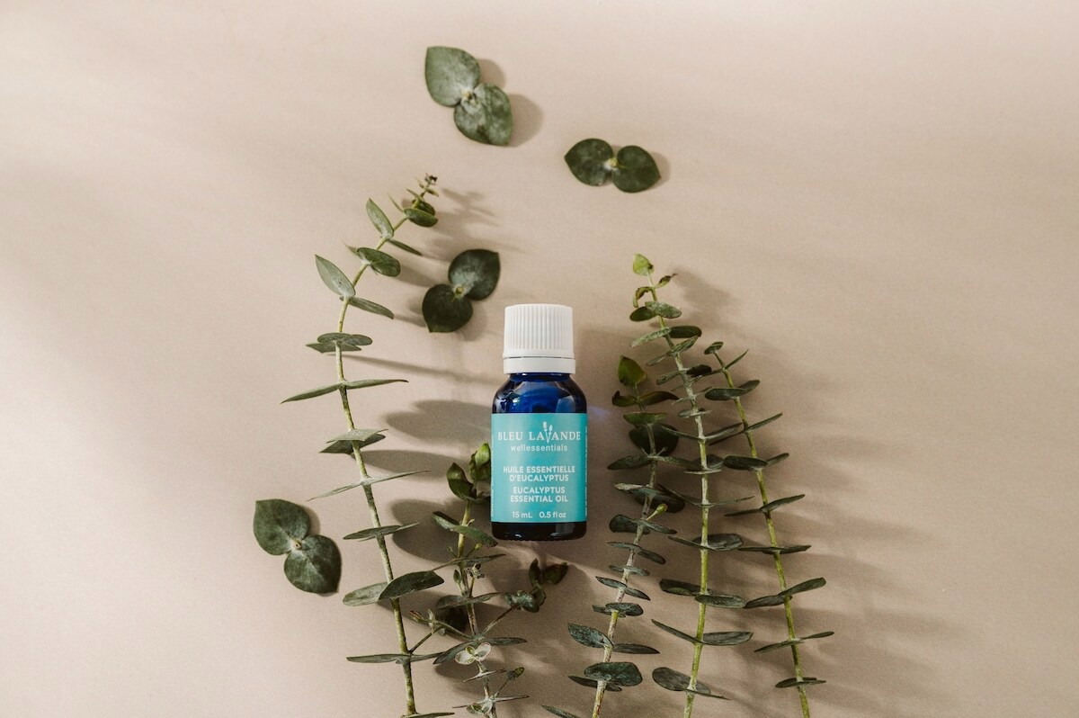 NPN Eucalyptus essential oil