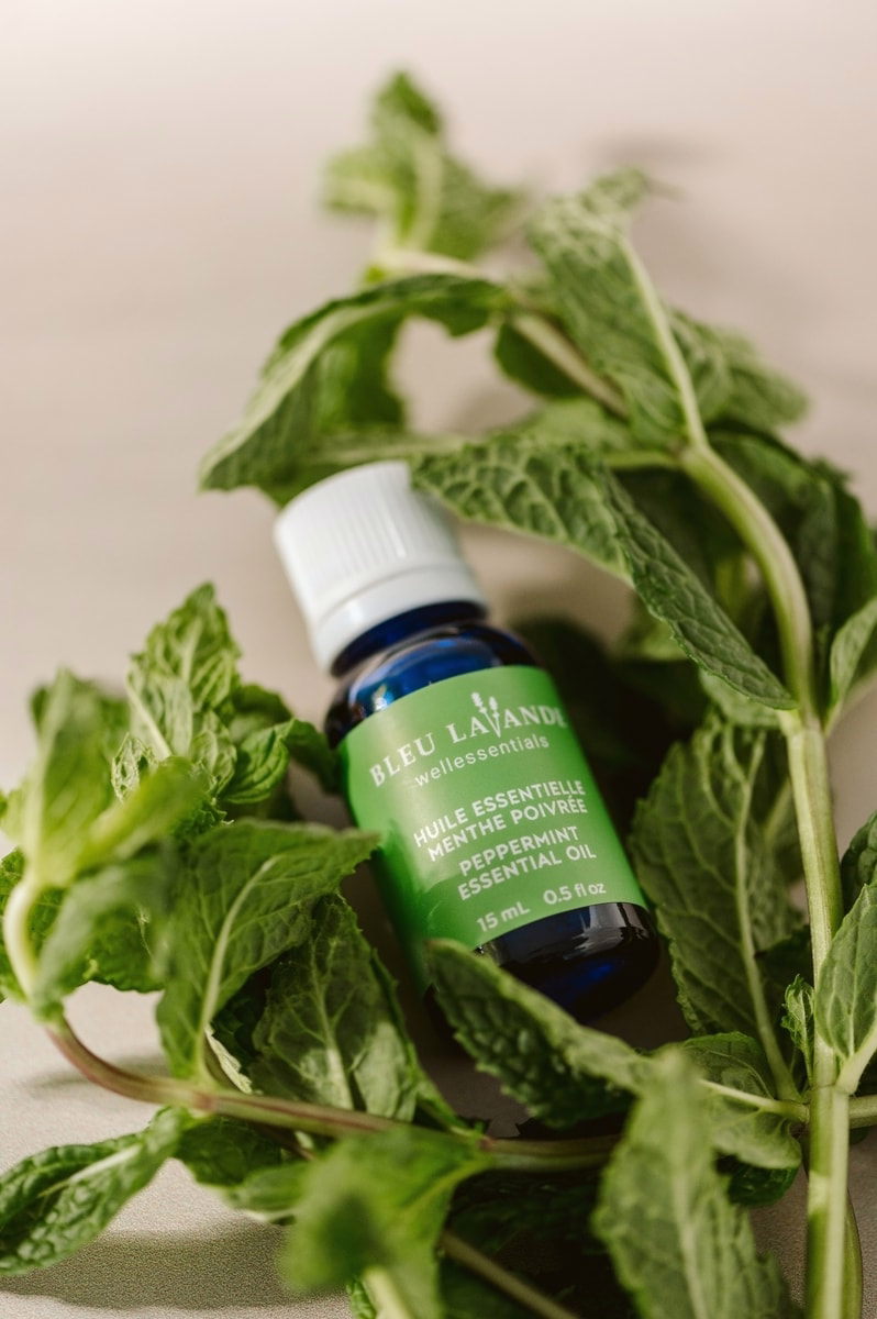 NPN Peppermint essential oil