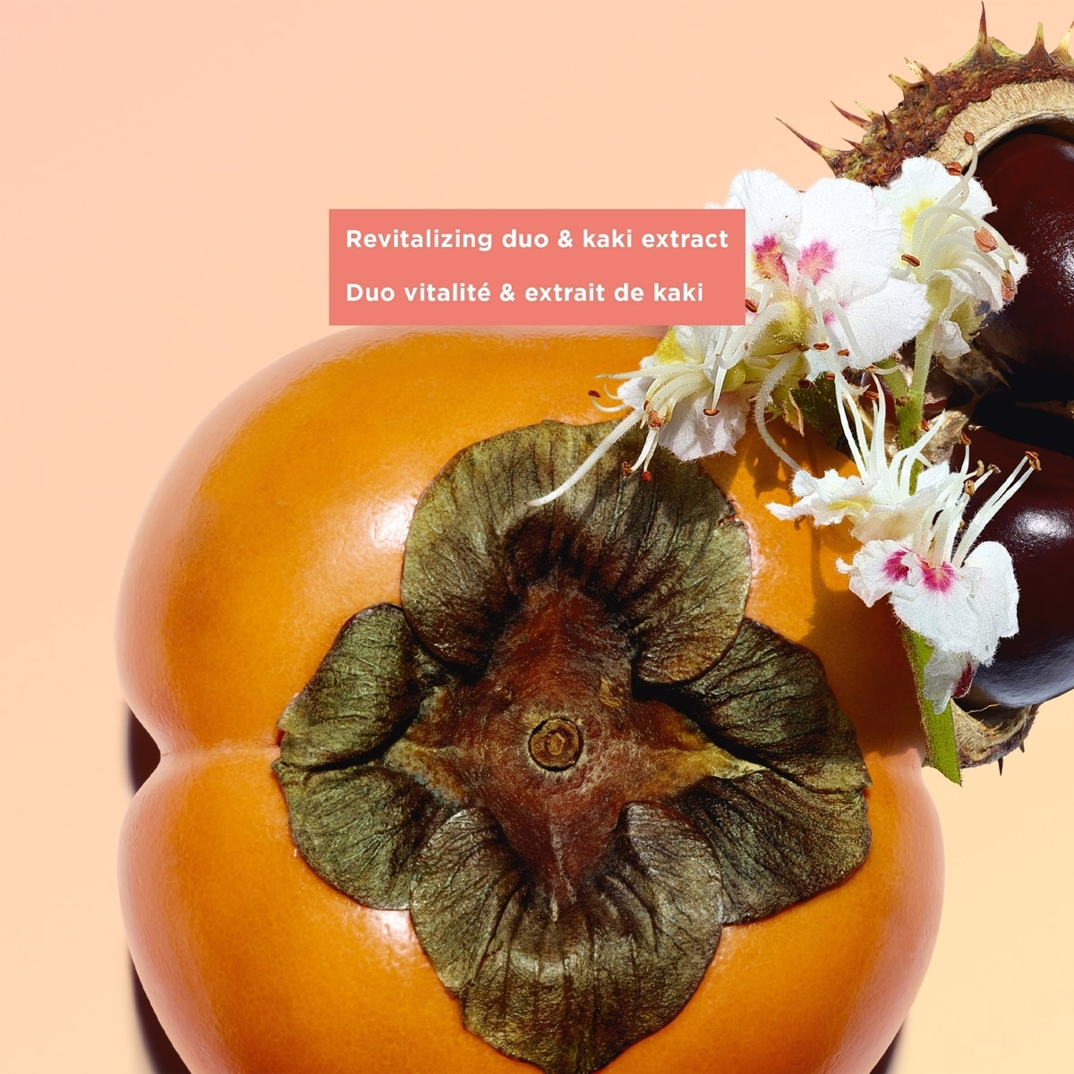 Nutri-Lumière Revive Nutri-Lumière Revive