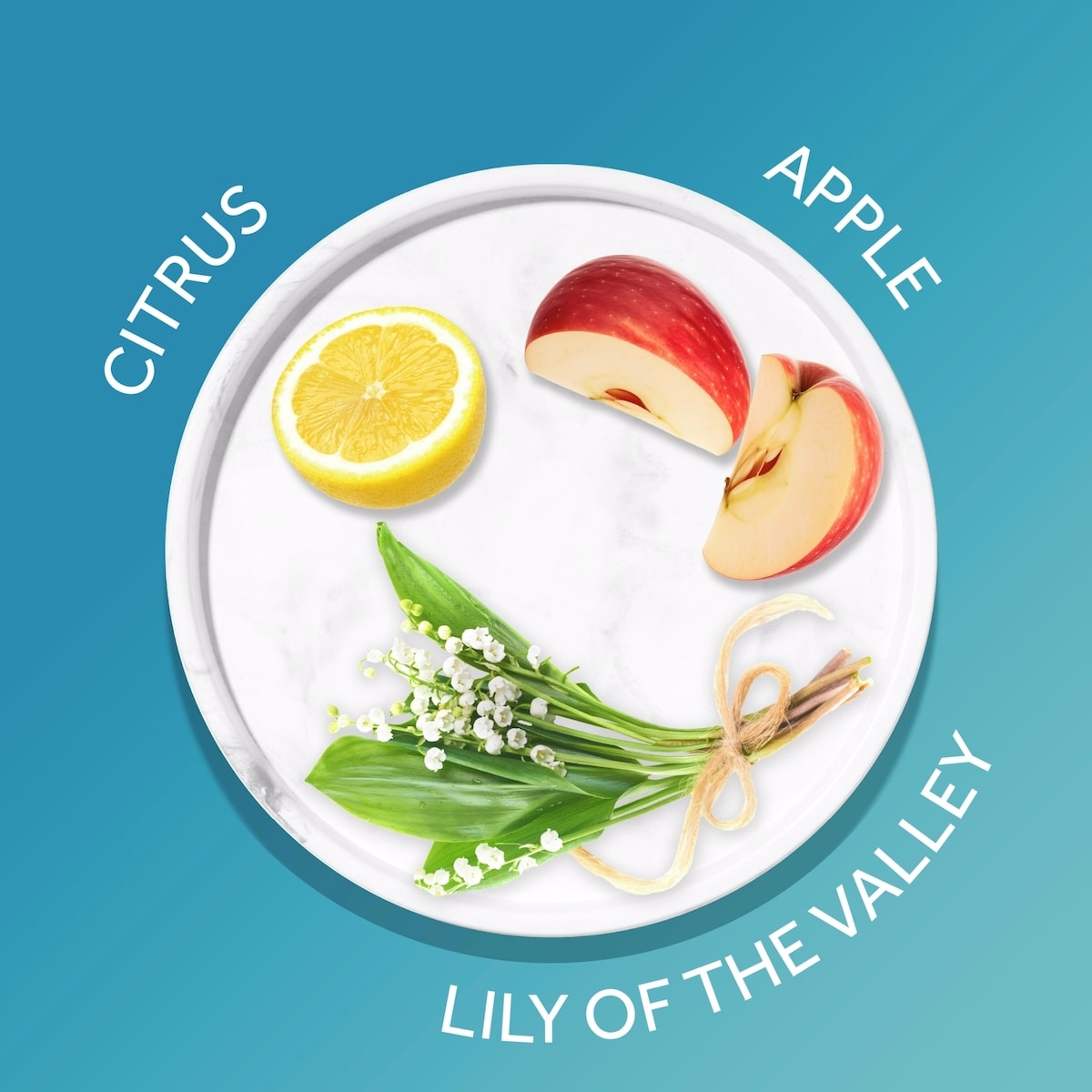 海洋微風超級保濕浴珠